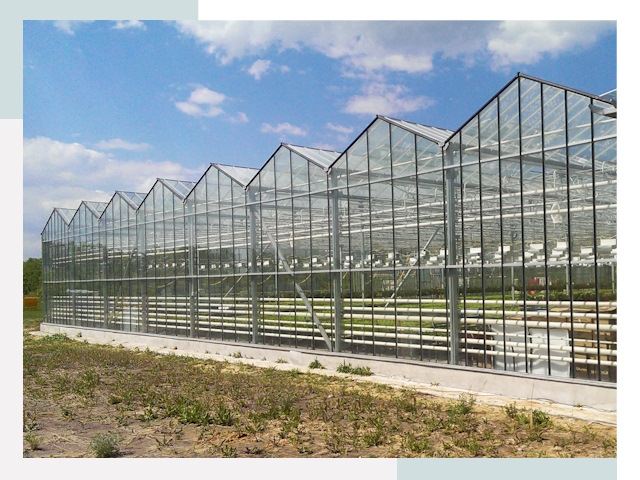 Строительство теплиц в Инта от 609 руб. за м²