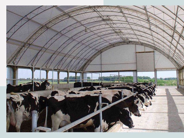 Тентовые коровники в Инте